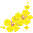 Flower Clipart