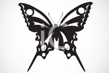 Insect Clipart