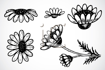 Nature and Scenic Clipart