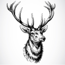 Deer Clipart