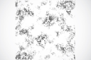 Background Clipart