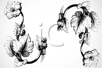 Plant Clipart