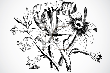 Nature and Scenic Clipart