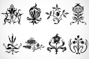 Plant Clipart