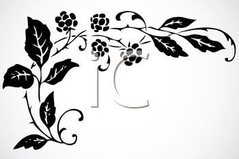 Plant Clipart