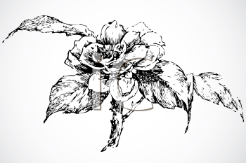 Nature and Scenic Clipart