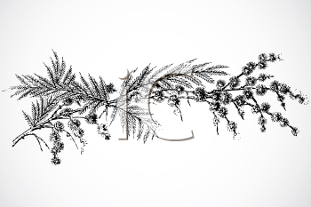 Nature and Scenic Clipart