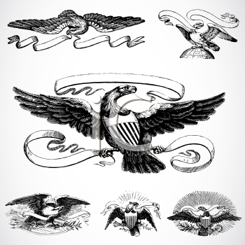 Bird Clipart