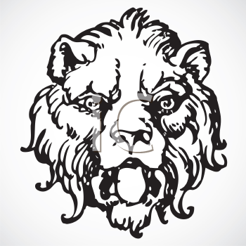 Pet Clipart