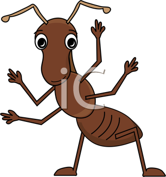 Insect Clipart