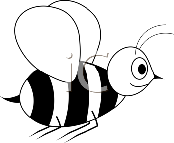 Insect Clipart
