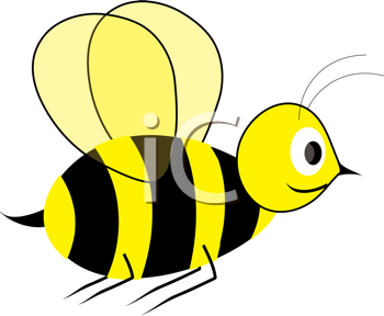 Insect Clipart