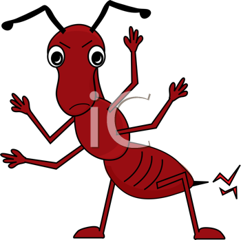 Insect Clipart