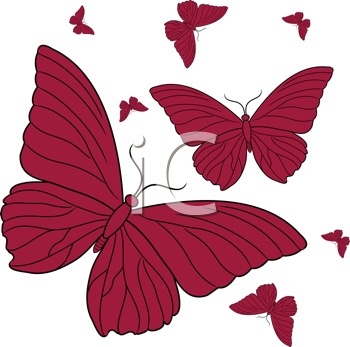 Insect Clipart