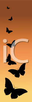 Insect Clipart