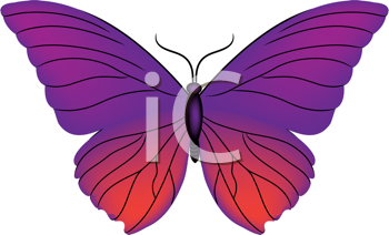 Insect Clipart
