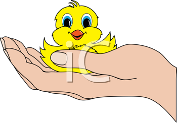Bird Clipart