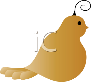 Bird Clipart