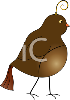 Bird Clipart