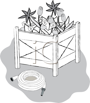 Nature and Scenic Clipart