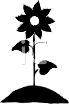 Flower Clipart