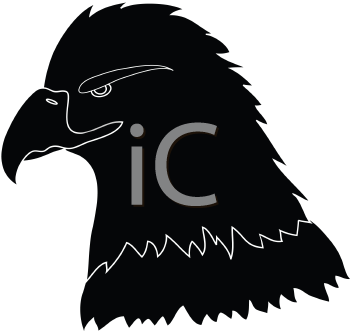 Insect Clipart