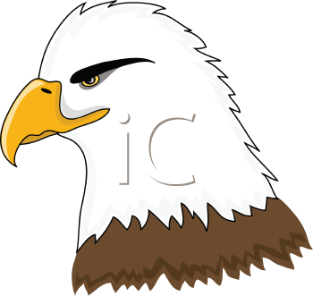 Bird Clipart