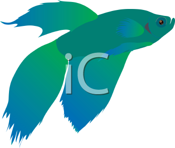 Fish and Sea Life Clipart