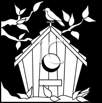 Bird Clipart