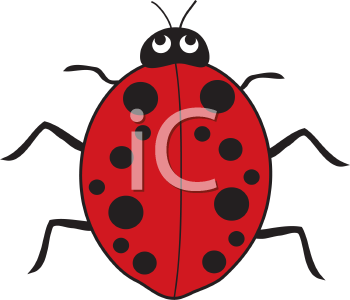 Insect Clipart