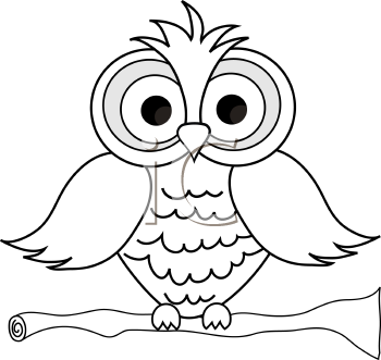 Insect Clipart