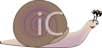 Insect Clipart