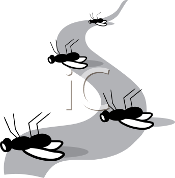 Insect Clipart