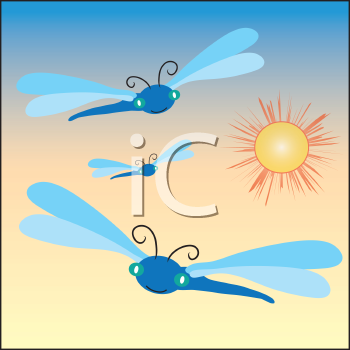 Insect Clipart