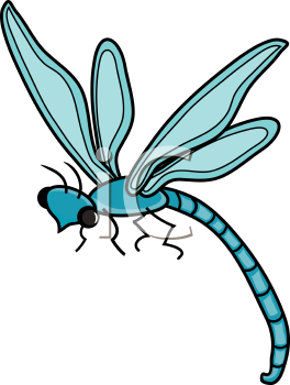 Insect Clipart
