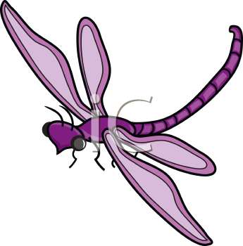Insect Clipart