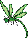 Insect Clipart