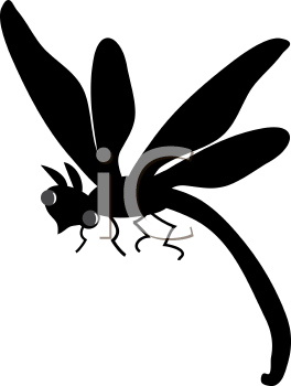 Insect Clipart