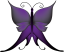 Insect Clipart