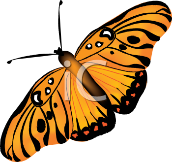 Insect Clipart