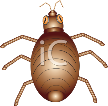 Insect Clipart