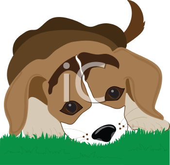 Pet Clipart
