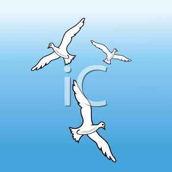 Insect Clipart