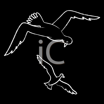 Insect Clipart