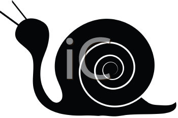 Insect Clipart