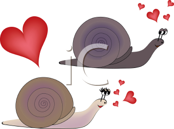 Insect Clipart