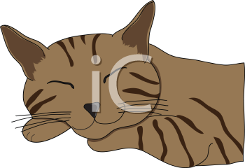 Pet Clipart