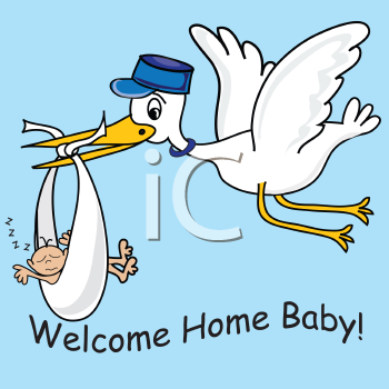 Bird Clipart