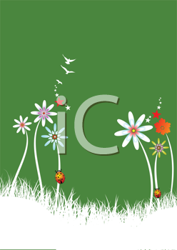 Insect Clipart