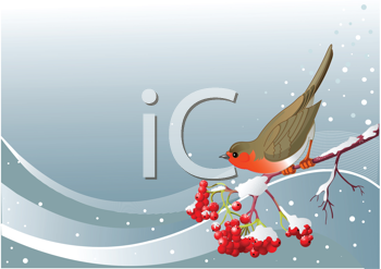 Bird Clipart